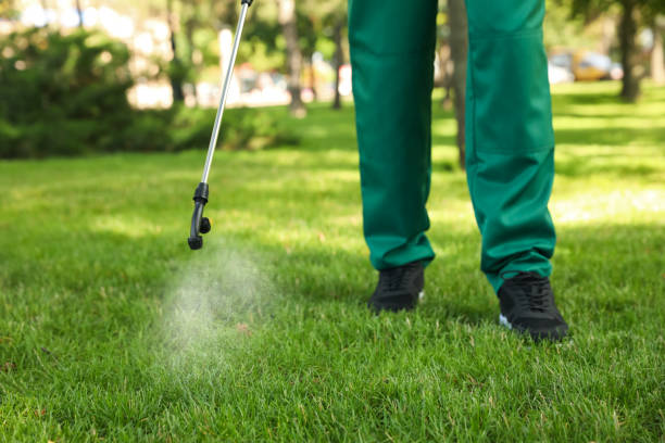 Best Cockroach Control Services  in Coal Run Village, KY